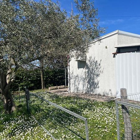 Apartma Korelc コペル エクステリア 写真